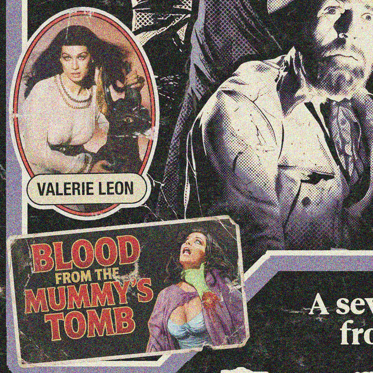 Blood From the Mummy's Tomb (1971) - "Valerie Leon" VHS Tribute Art Print